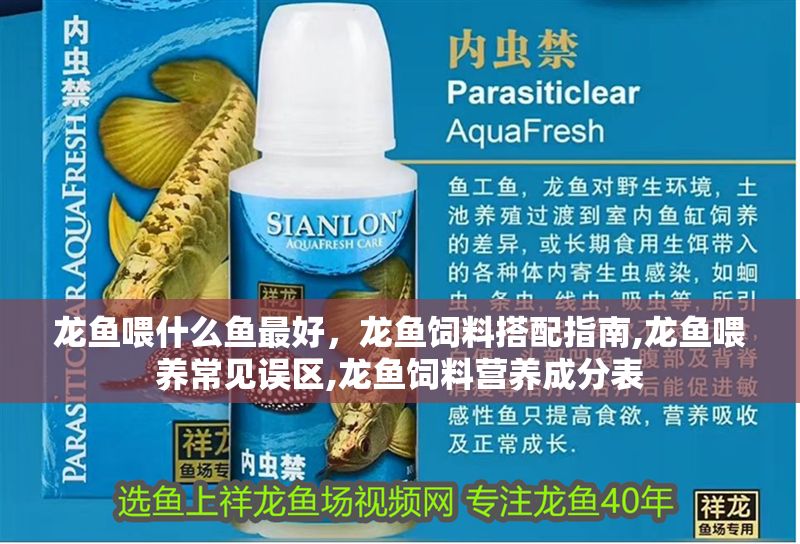 龍魚喂什么魚最好，龍魚飼料搭配指南,龍魚喂養常見誤區,龍魚飼料營養成分表 龍魚喂什么魚最好，龍魚飼料搭配指南,龍魚喂養常見誤區,龍魚飼料營養成分表 龍魚百科 第2張