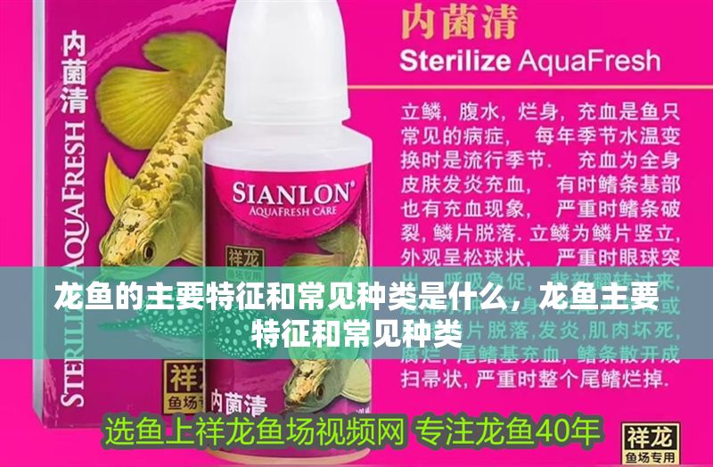 龍魚的主要特征和常見種類是什么，龍魚主要特征和常見種類