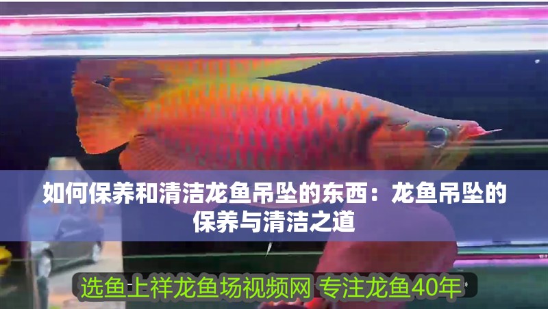 如何保養和清潔龍魚吊墜的東西：龍魚吊墜的保養與清潔之道
