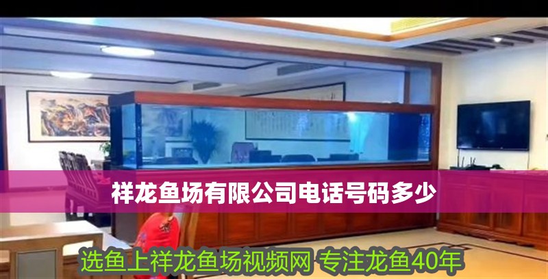 祥龍魚場有限公司電話號碼多少