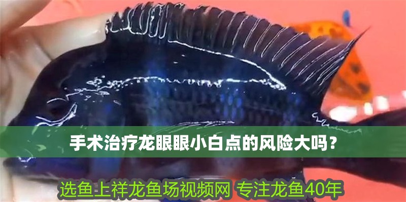 手術治療龍眼眼小白點的風險大嗎？