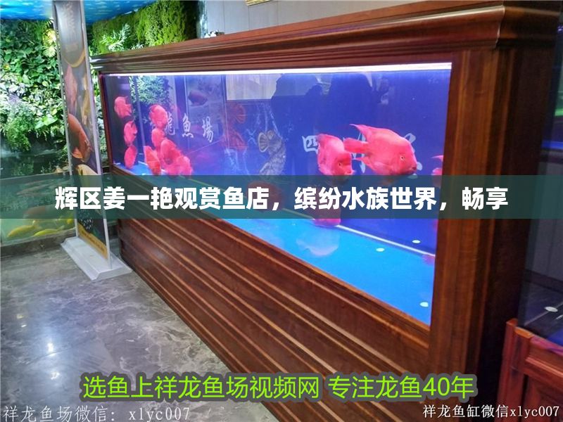 輝區(qū)姜一艷觀賞魚店，繽紛水族世界，暢享