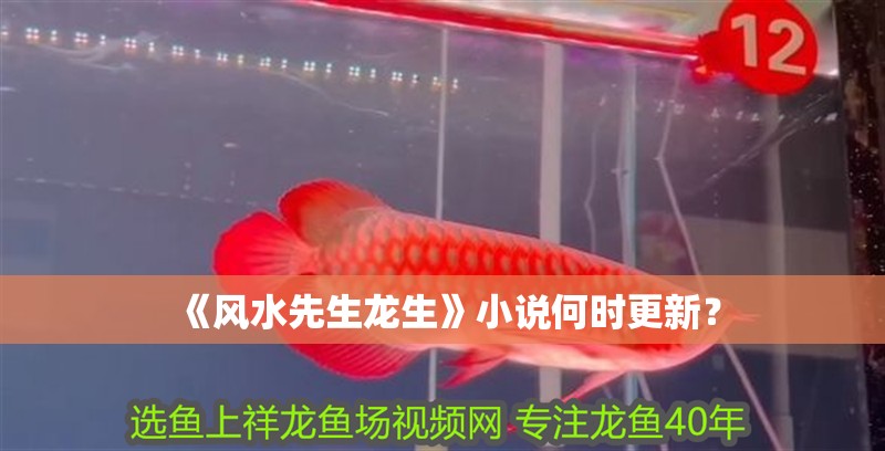 《風水先生龍生》小說何時更新？ 《風水先生龍生》小說何時更新？ 龍魚百科