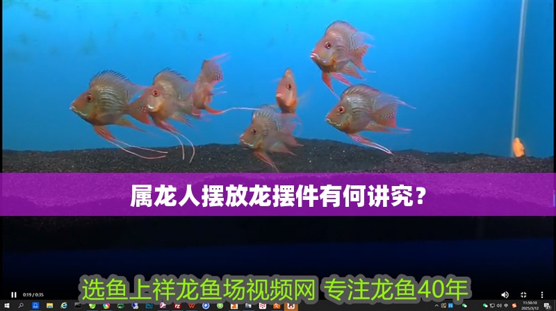 屬龍人擺放龍擺件有何講究？