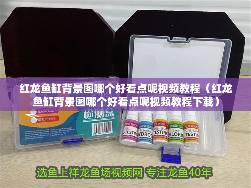 紅龍魚缸背景圖哪個好看點呢視頻教程（紅龍魚缸背景圖哪個好看點呢視頻教程下載）