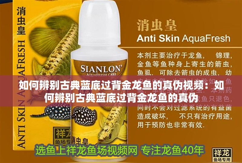 龍魚(yú)拒食一個(gè)月：龍魚(yú)拒食一個(gè)月可能由多種因素引起的拒食