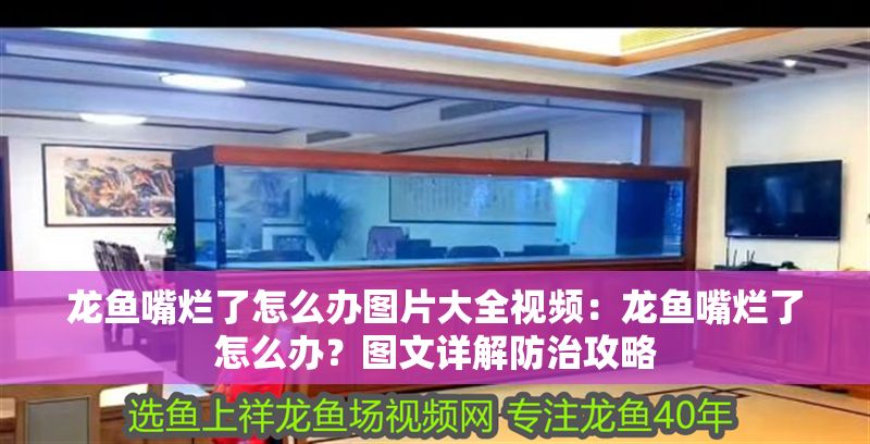 龍魚(yú)嘴爛了怎么辦圖片大全視頻：龍魚(yú)嘴爛了怎么辦？圖文詳解防治攻略