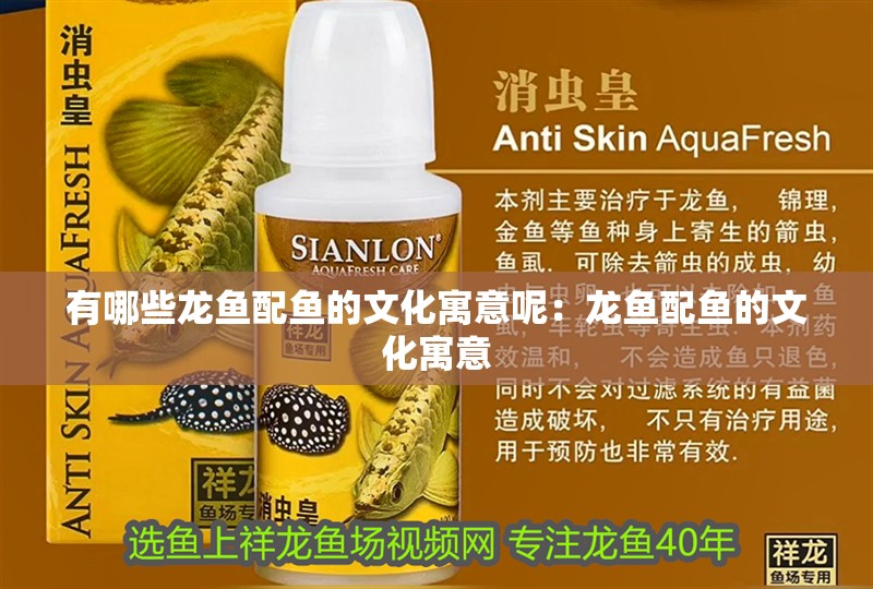 有哪些龍魚配魚的文化寓意呢：龍魚配魚的文化寓意