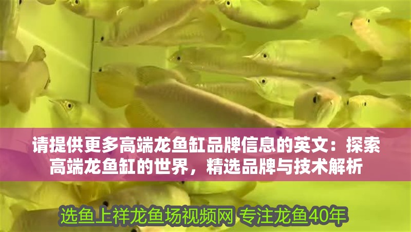 請提供更多高端龍魚缸品牌信息的英文：探索高端龍魚缸的世界，精選品牌與技術解析