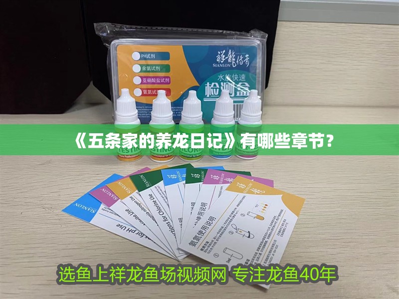 《五條家的養(yǎng)龍日記》有哪些章節(jié)？