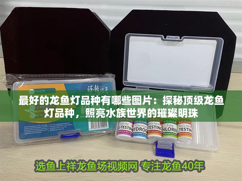 最好的龍魚燈品種有哪些圖片：探秘頂級龍魚燈品種，照亮水族世界的璀璨明珠