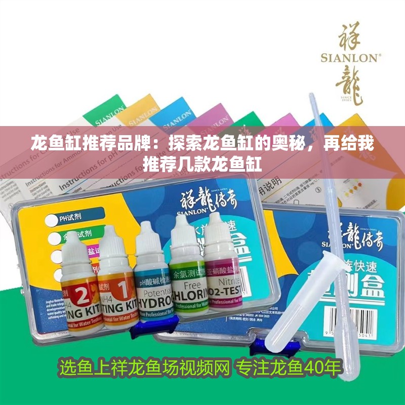 龍魚(yú)缸推薦品牌：探索龍魚(yú)缸的奧秘，再給我推薦幾款龍魚(yú)缸 龍魚(yú)缸推薦品牌：探索龍魚(yú)缸的奧秘，再給我推薦幾款龍魚(yú)缸 水族問(wèn)答