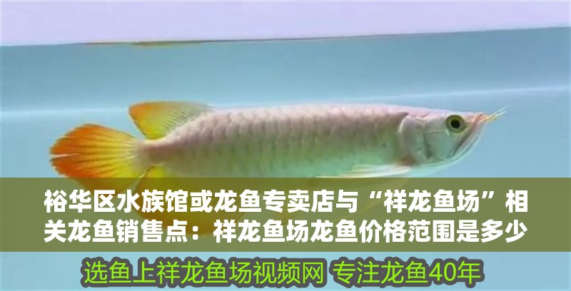 裕華區(qū)水族館或龍魚專賣店與“祥龍魚場”相關(guān)龍魚銷售點：祥龍魚場龍魚價格范圍是多少？