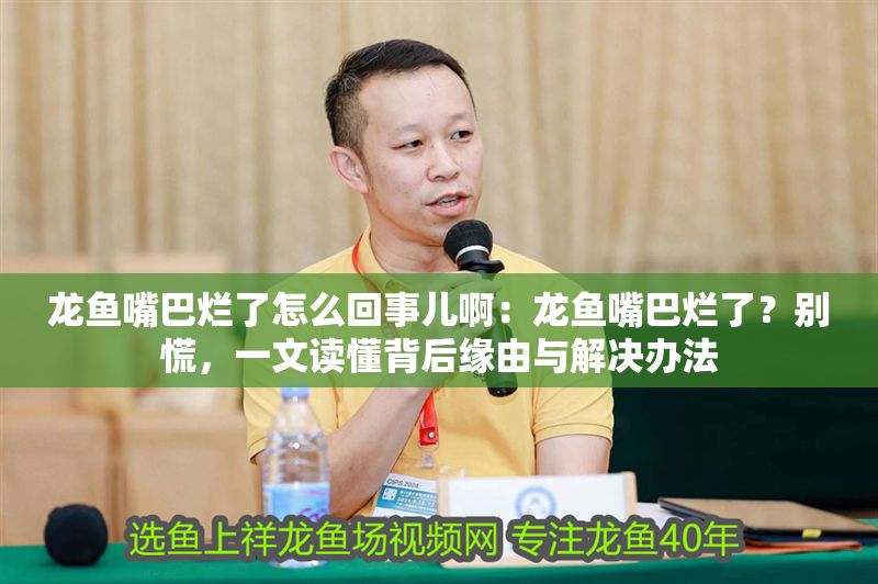 龍魚嘴巴爛了怎么回事兒啊：龍魚嘴巴爛了？別慌，一文讀懂背后緣由與解決辦法