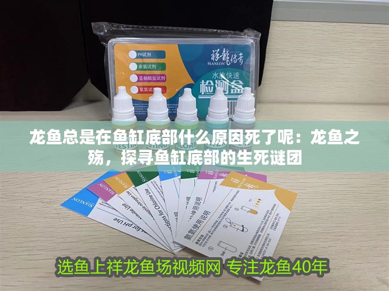 龍魚總是在魚缸底部什么原因死了呢：龍魚之殤，探尋魚缸底部的生死謎團
