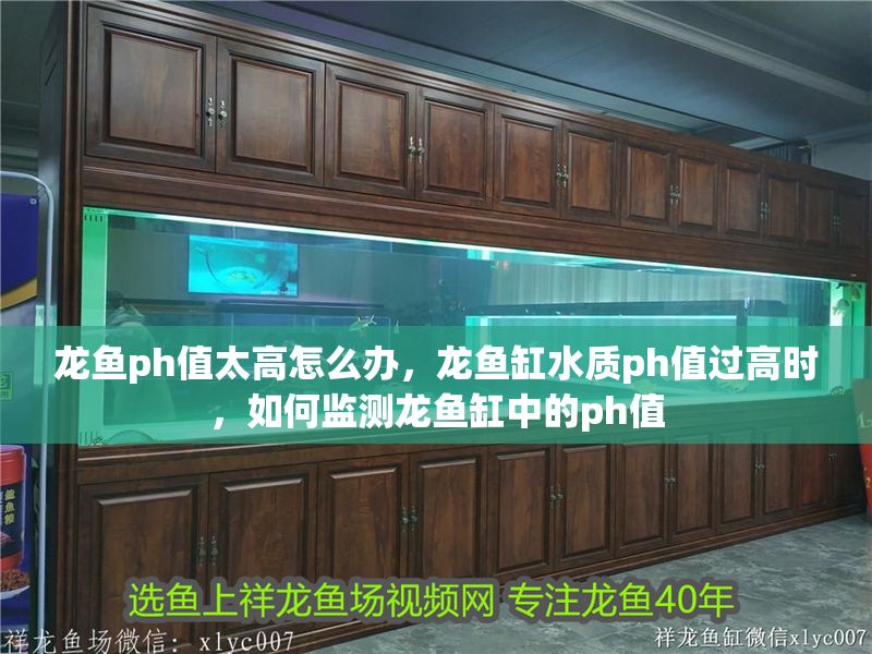 龍魚ph值太高怎么辦，龍魚缸水質(zhì)ph值過高時(shí)，如何監(jiān)測龍魚缸中的ph值