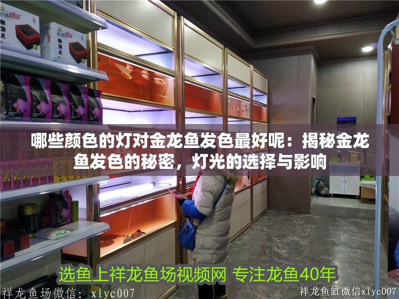 哪些顏色的燈對(duì)金龍魚發(fā)色最好呢：揭秘金龍魚發(fā)色的秘密，燈光的選擇與影響