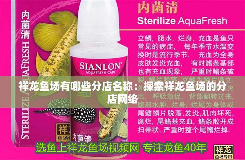 祥龍魚場有哪些分店名稱：探索祥龍魚場的分店網(wǎng)絡(luò)