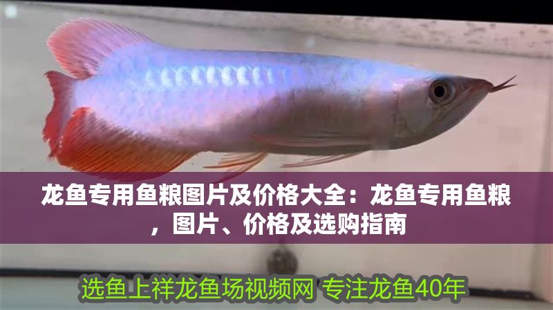 龍魚專用魚糧圖片及價格大全：龍魚專用魚糧，圖片、價格及選購指南