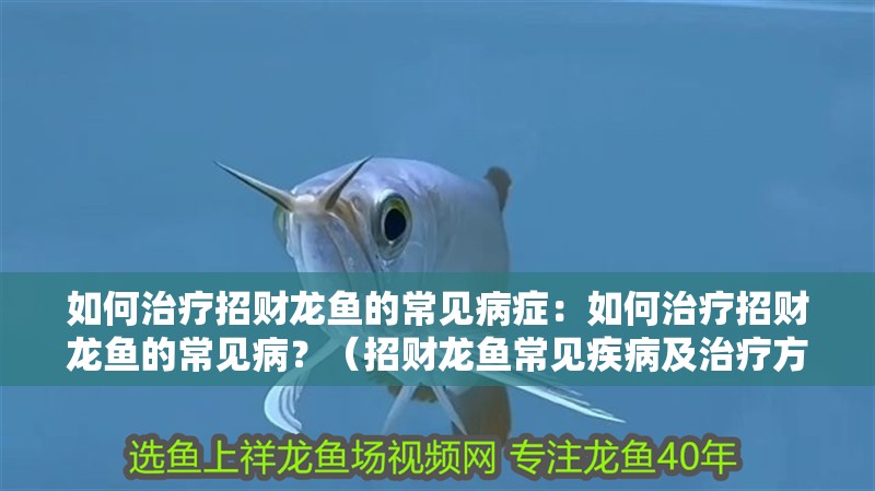 如何治療招財龍魚的常見病癥：如何治療招財龍魚的常見病？（招財龍魚常見疾病及治療方法）