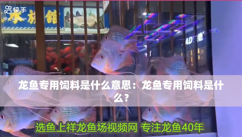 龍魚(yú)專用飼料是什么意思：龍魚(yú)專用飼料是什么？
