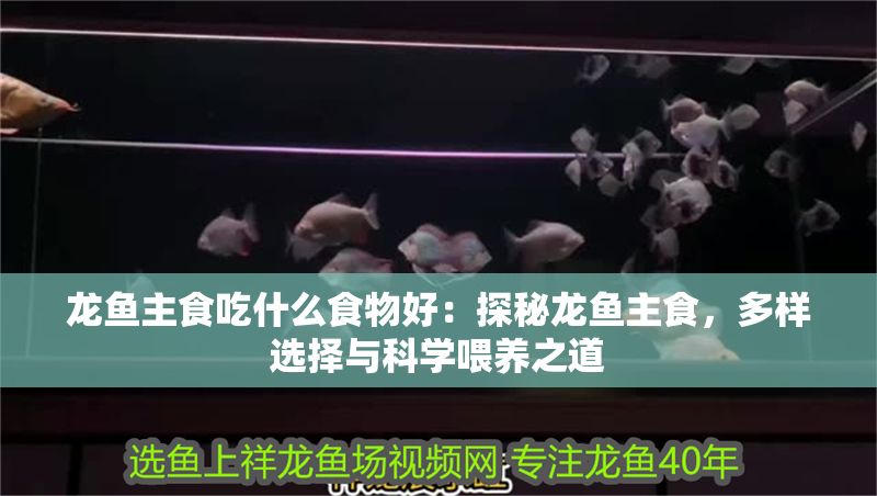 龍魚主食吃什么食物好：探秘龍魚主食，多樣選擇與科學喂養之道 龍魚主食吃什么食物好：探秘龍魚主食，多樣選擇與科學喂養之道 龍魚百科 第1張
