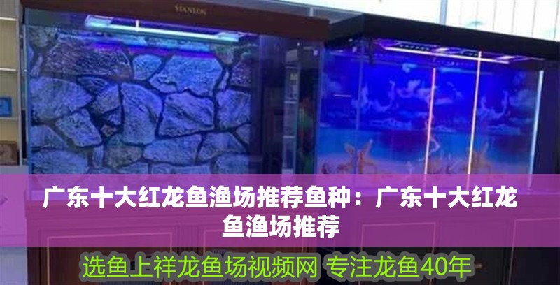 廣東十大紅龍魚漁場推薦魚種：廣東十大紅龍魚漁場推薦