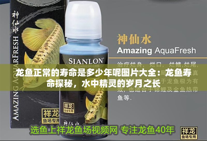 龍魚正常的壽命是多少年呢圖片大全：龍魚壽命探秘，水中精靈的歲月之長