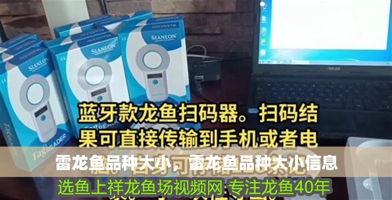 雷龍魚品種大小，雷龍魚品種大小信息