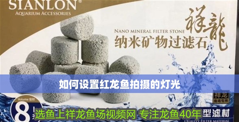 如何設(shè)置紅龍魚拍攝的燈光