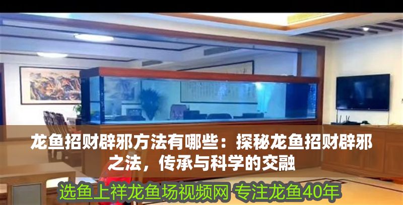 龍魚(yú)招財(cái)辟邪方法有哪些：探秘龍魚(yú)招財(cái)辟邪之法，傳承與科學(xué)的交融