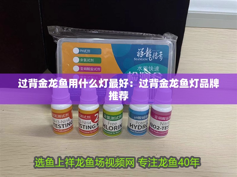 過背金龍魚用什么燈最好：過背金龍魚燈品牌推薦