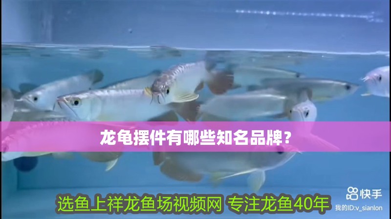 龍龜擺件有哪些知名品牌？ 龍龜擺件有哪些知名品牌？ 龍魚百科