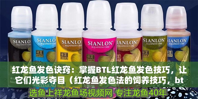 紅龍魚發(fā)色訣竅：掌握BTL紅龍魚發(fā)色技巧，讓它們光彩奪目（紅龍魚發(fā)色法的飼養(yǎng)技巧，btl發(fā)色法的飼養(yǎng)技巧）