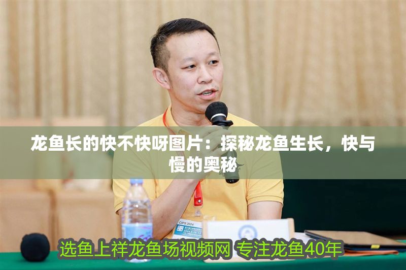 龍魚(yú)長(zhǎng)的快不快呀圖片：探秘龍魚(yú)生長(zhǎng)，快與慢的奧秘