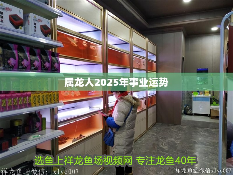 屬龍人2025年事業運勢