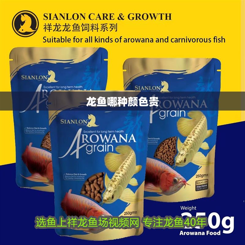 龍魚哪種顏色貴