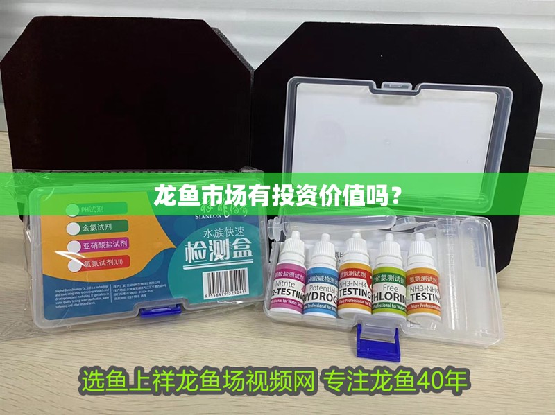 龍魚市場有投資價值嗎？