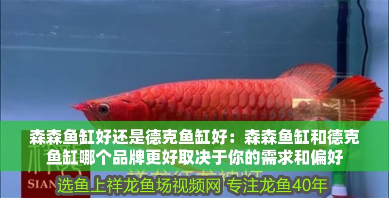 森森魚缸好還是德克魚缸好：森森魚缸和德克魚缸哪個品牌更好取決于你的需求和偏好