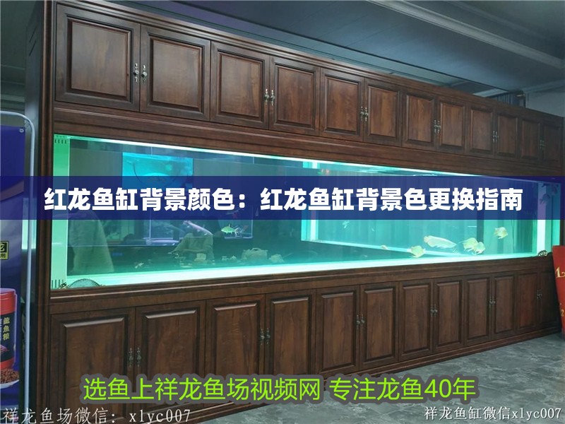 紅龍魚缸背景顏色：紅龍魚缸背景色更換指南