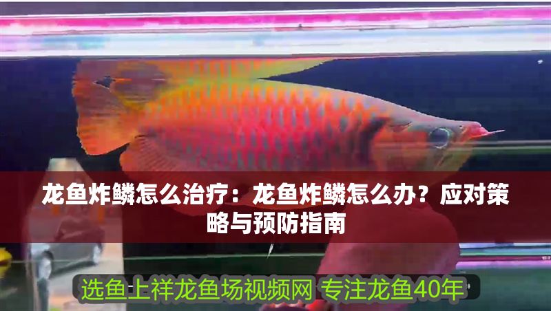 龍魚炸鱗怎么治療：龍魚炸鱗怎么辦？應對策略與預防指南