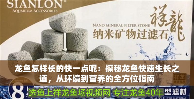 龍魚怎樣長的快一點呢：探秘龍魚快速生長之道，從環境到營養的全方位指南
