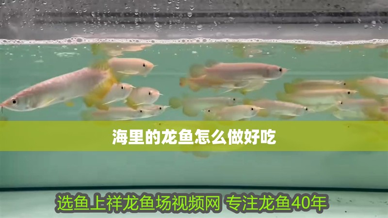 海里的龍魚怎么做好吃