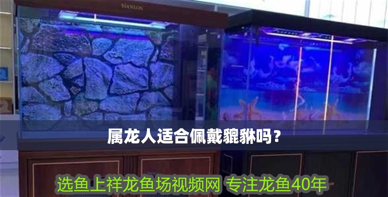 屬龍人適合佩戴貔貅嗎？ 屬龍人適合佩戴貔貅嗎？ 龍魚百科