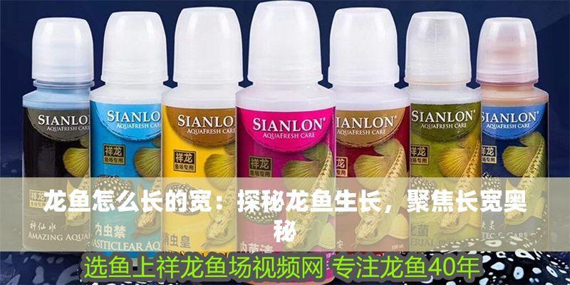 龍魚怎么長的寬：探秘龍魚生長，聚焦長寬奧秘