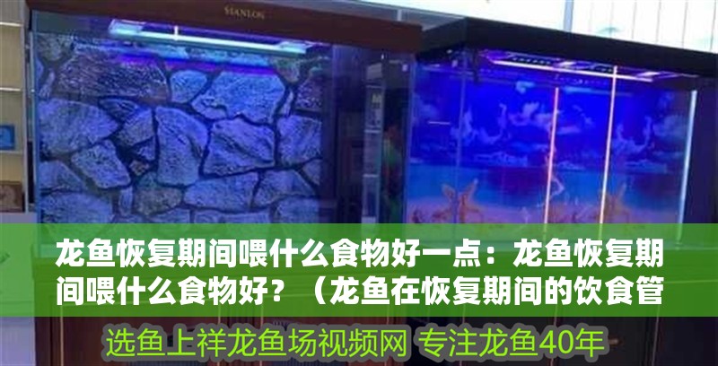 龍魚恢復(fù)期間喂什么食物好一點(diǎn)：龍魚恢復(fù)期間喂什么食物好？（龍魚在恢復(fù)期間的飲食管理） 龍魚恢復(fù)期間喂什么食物好一點(diǎn)：龍魚恢復(fù)期間喂什么食物好？（龍魚在恢復(fù)期間的飲食管理） 水族問答