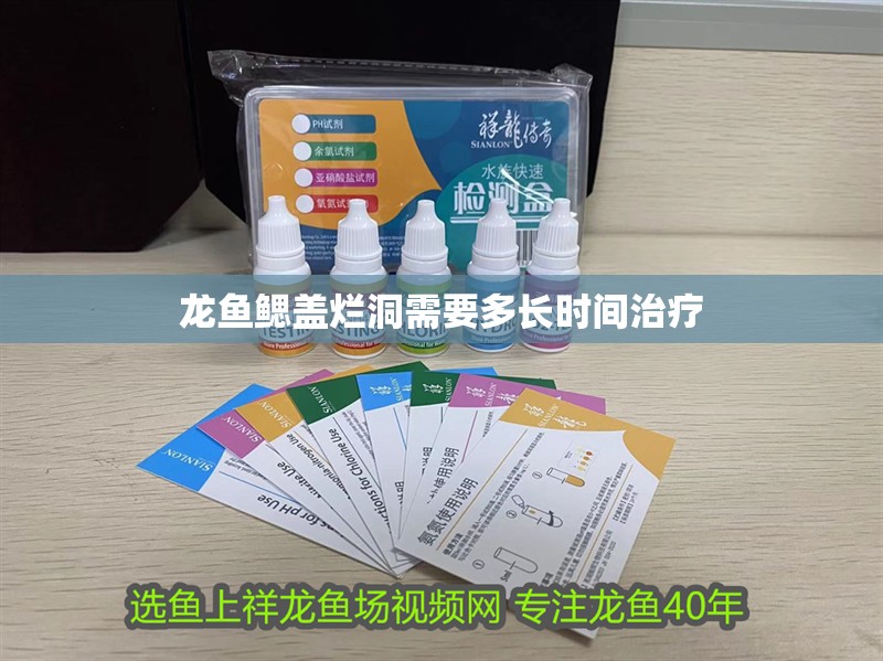龍魚鰓蓋爛洞需要多長時間治療 龍魚鰓蓋爛洞需要多長時間治療 龍魚百科