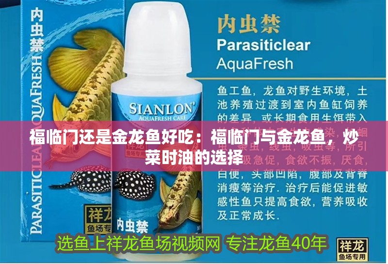 龍魚用眼睛擦缸什么回事：龍魚用眼睛擦缸可能由多種原因引起龍魚用眼睛擦缸 龍魚用眼睛擦缸什么回事：龍魚用眼睛擦缸可能由多種原因引起龍魚用眼睛擦缸 龍魚百科