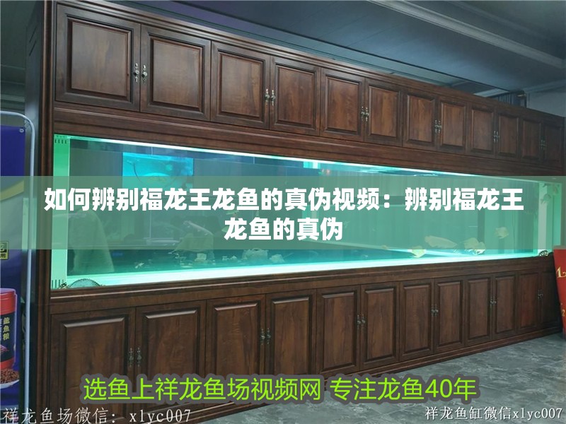 如何辨別福龍王龍魚的真偽視頻：辨別福龍王龍魚的真偽