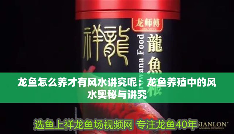 龍魚怎么養才有風水講究呢：龍魚養殖中的風水奧秘與講究